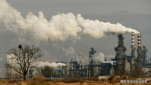 煤炭漲價與數(shù)據(jù)屏蔽 水產(chǎn)品行業(yè)的轉(zhuǎn)型之困