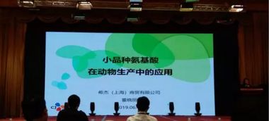 第十五屆泰山論壇 動(dòng)物營(yíng)養(yǎng)與飼料科學(xué)技術(shù)交流峰會(huì)2019圓滿落幕，技術(shù)轉(zhuǎn)讓成果豐碩